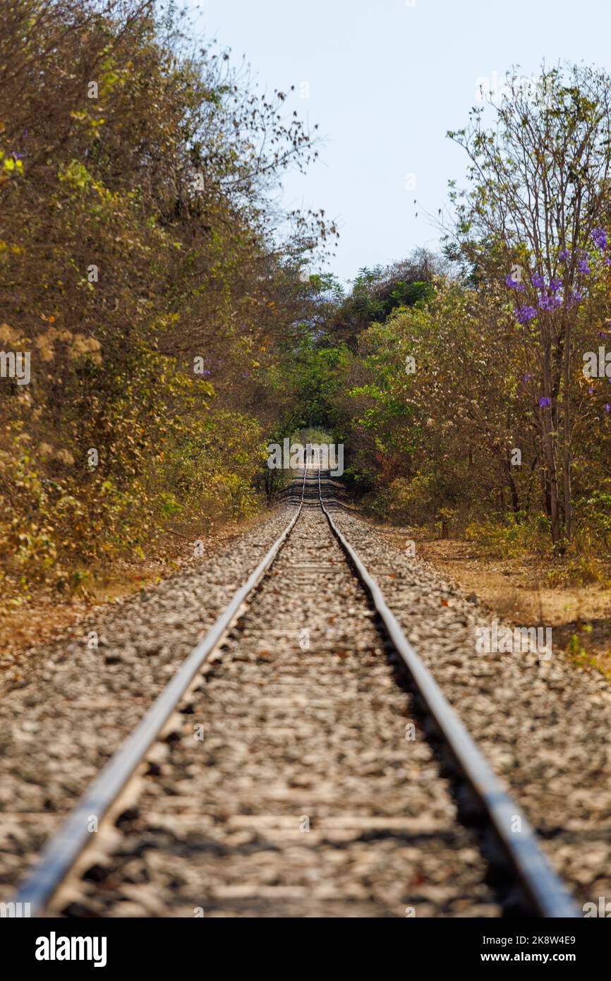 rail road in the state of Minas Gerais in brazil Stock Photo