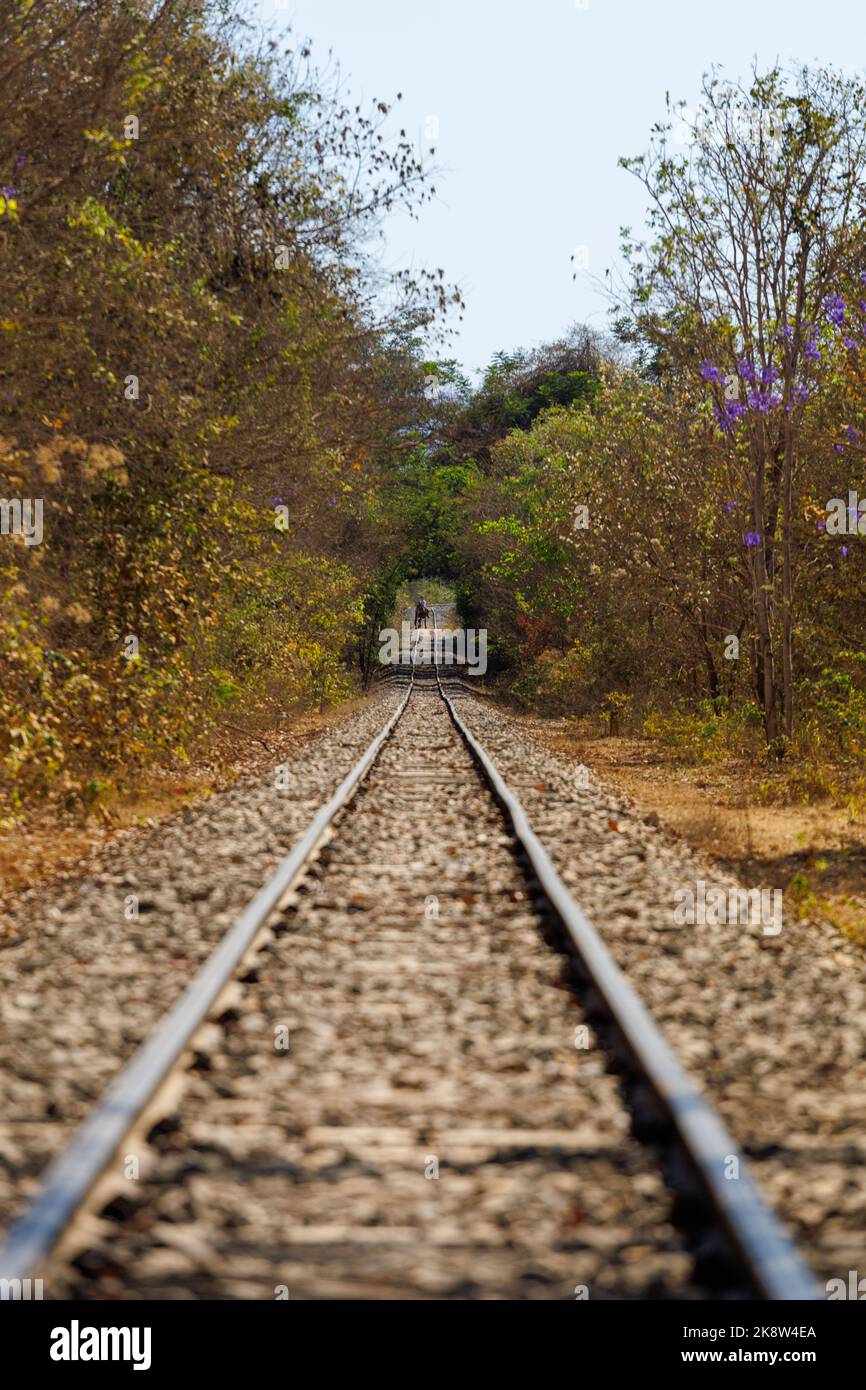rail road in the state of Minas Gerais in brazil Stock Photo