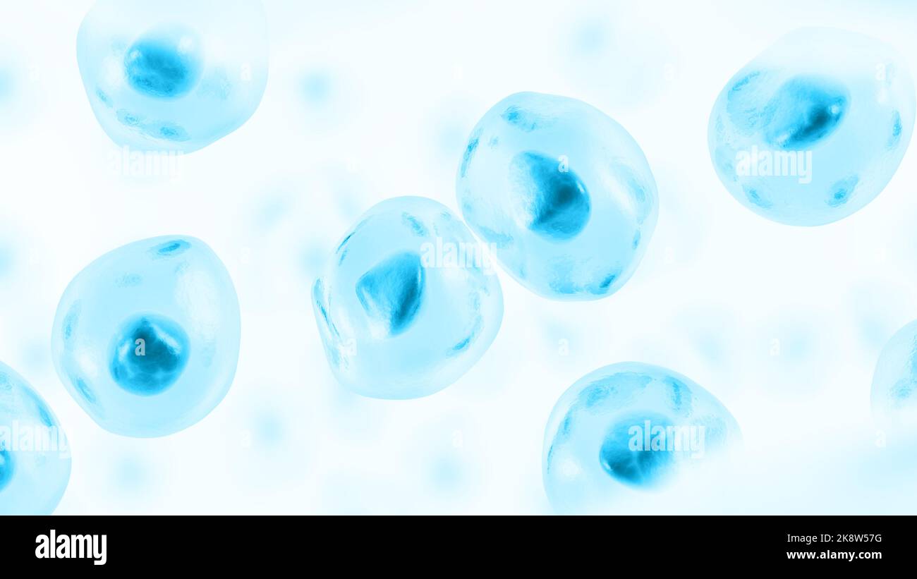 Human cell hi-res stock photography and images - Alamy