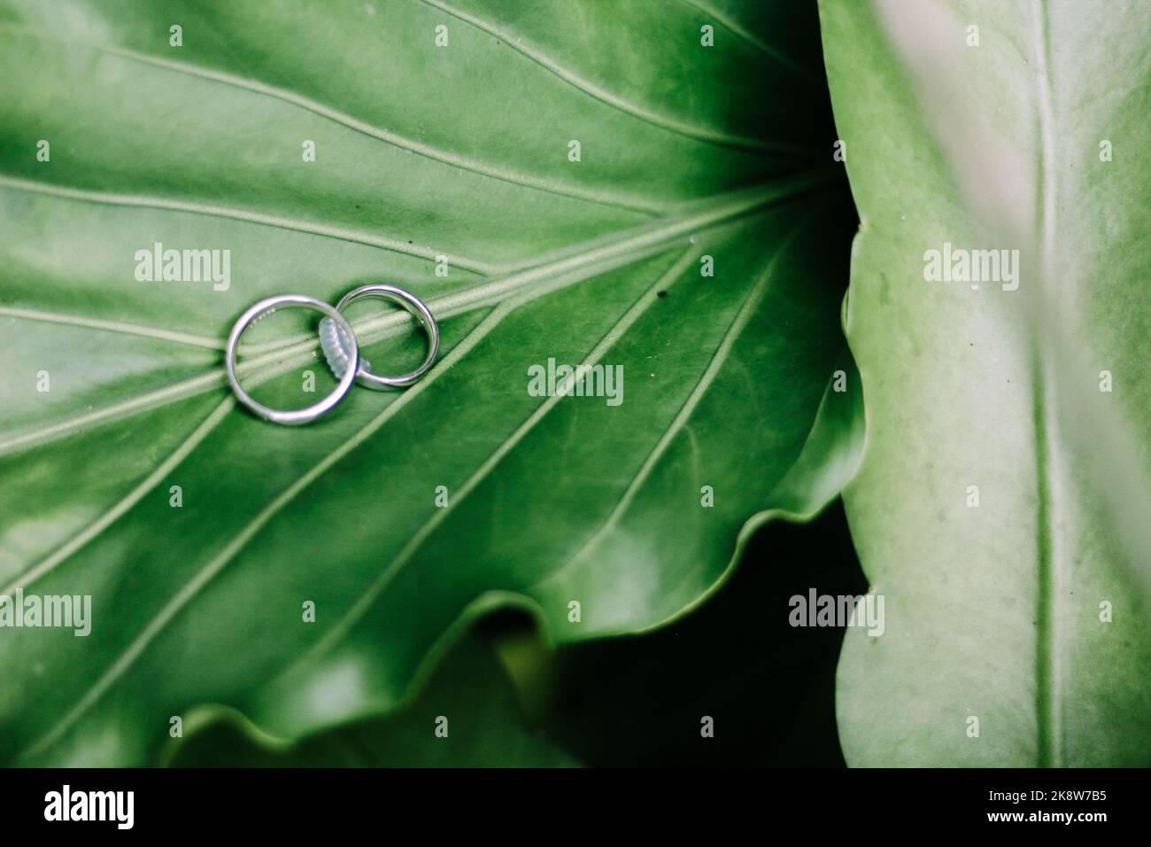 A double ring wedding Stock Photo Alamy