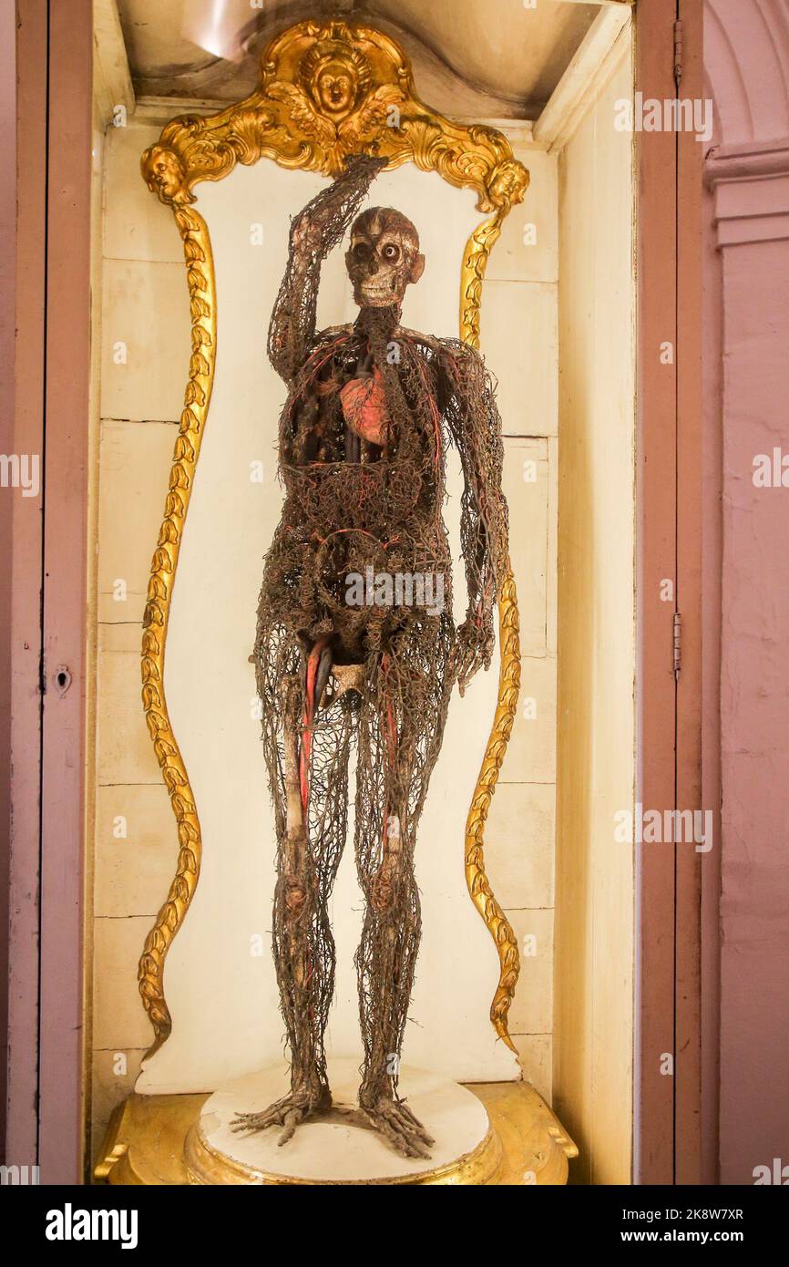 the second room of the San Severo chapel, known as the Apartment of the Phoenix, where the Anatomical Machines, skeletons of a man and a woman in an upright position, with the arteriovenous system almost perfectly intact, are housed in two display cases. The Machines were made by the Palermo doctor Giuseppe Salerno, and some eighteenth-century sources recently revealed that the male anatomical machine was purchased in 1756 by Raimondo di Sangro, following a public exhibition that the Sicilian anatomist held in Naples. Stock Photo