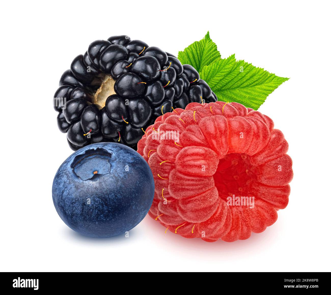 Blueberry, raspberry and blackberry isolated on white background Stock