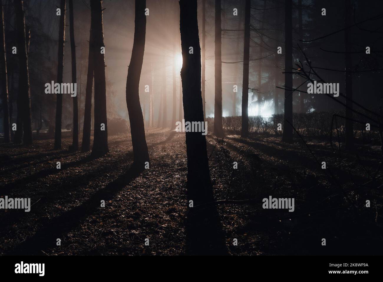 Fog and park at night hi-res stock photography and images - Alamy