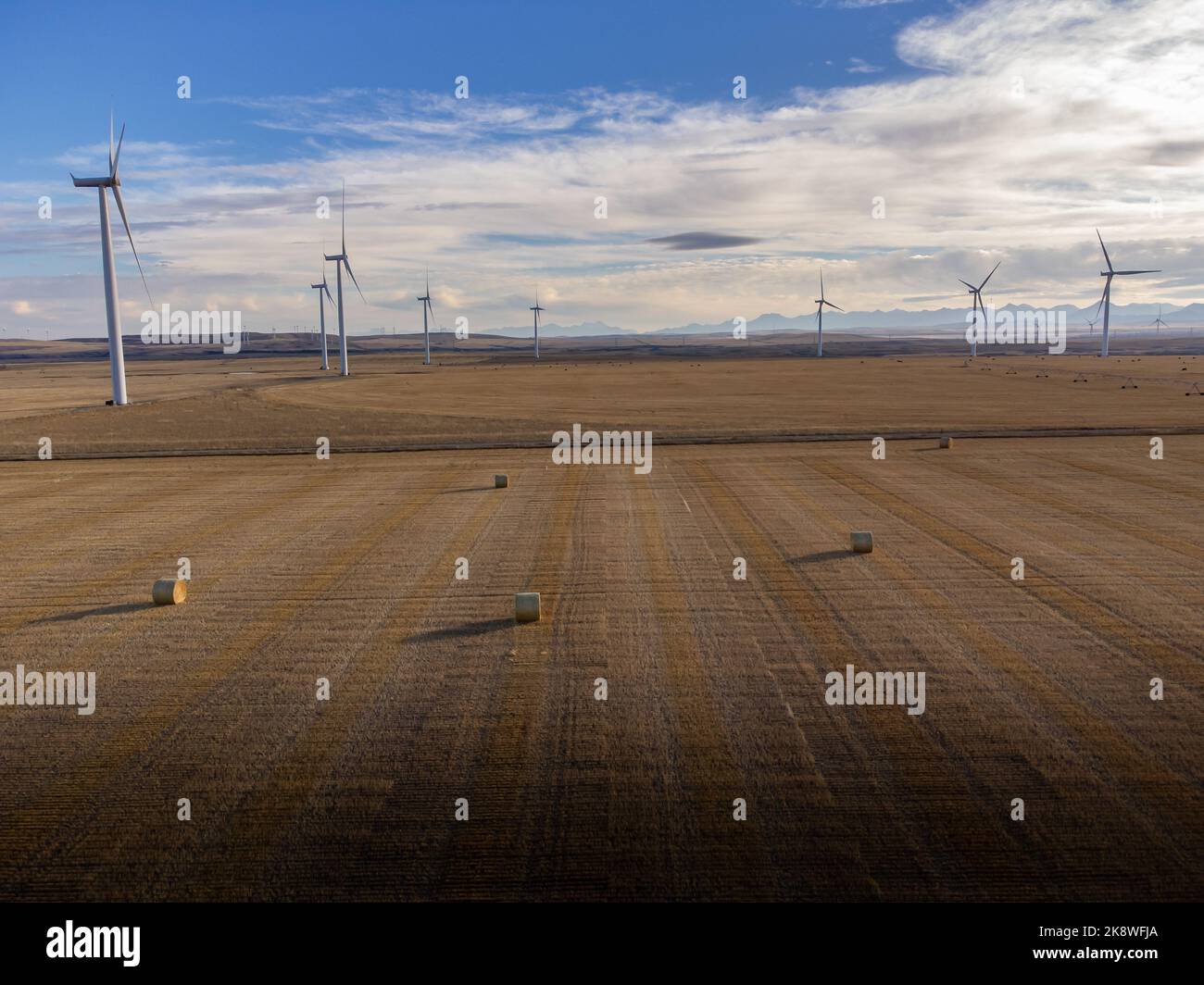 Aerial Canadian windmills standing tall with round bales of hay on a harvested field near