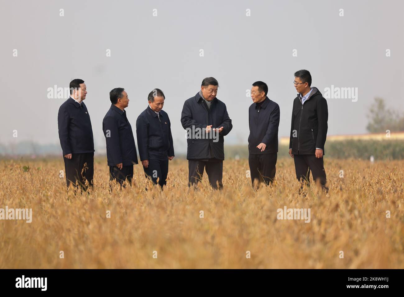 Addressing Challenges in Modern Farming