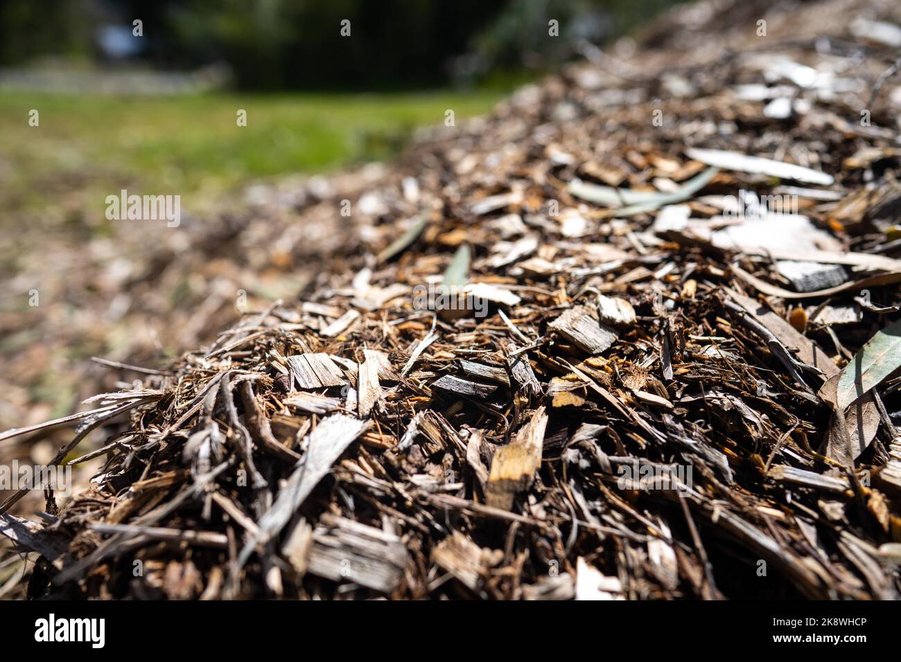 wood chips and Compost pile, organic thermophilic compost turning in