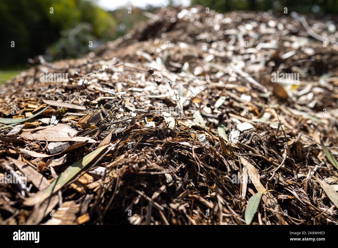 wood chips and Compost pile, organic thermophilic compost turning in