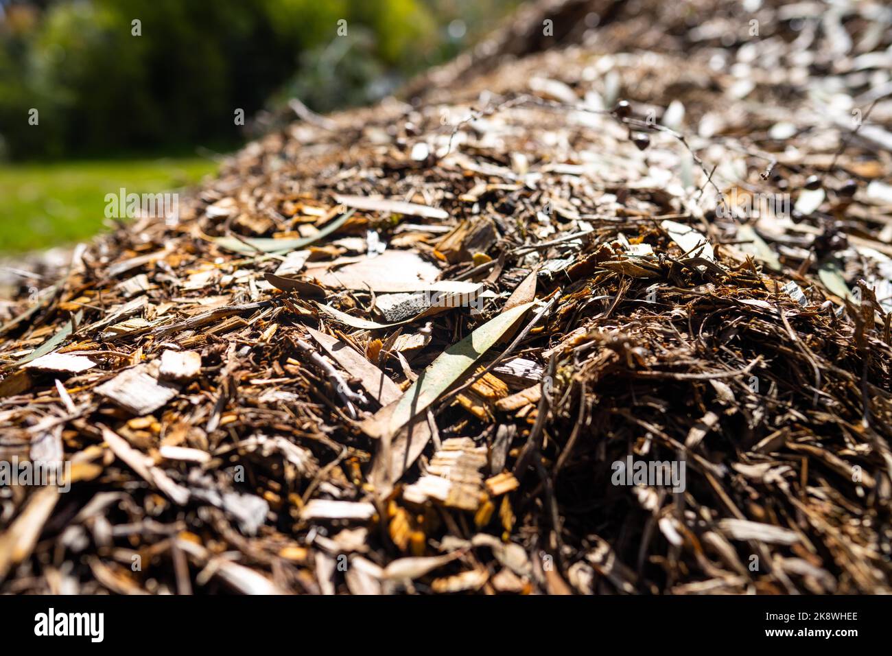 wood chips and Compost pile, organic thermophilic compost turning in