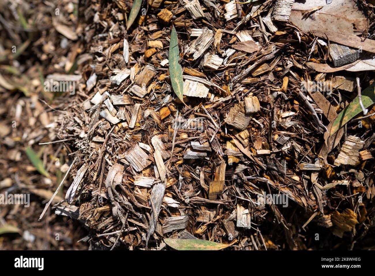 wood chips and Compost pile, organic thermophilic compost turning in