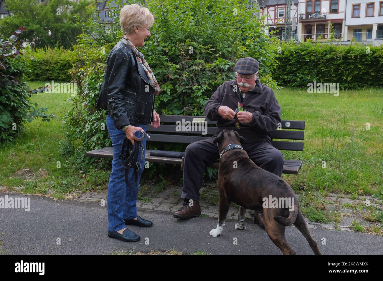 Old man with flat cap and handlebar moustache on a park bench opens a treat for his large dog, wife laughs at pet's excitement. In Bacharach, Germany. Stock Photo