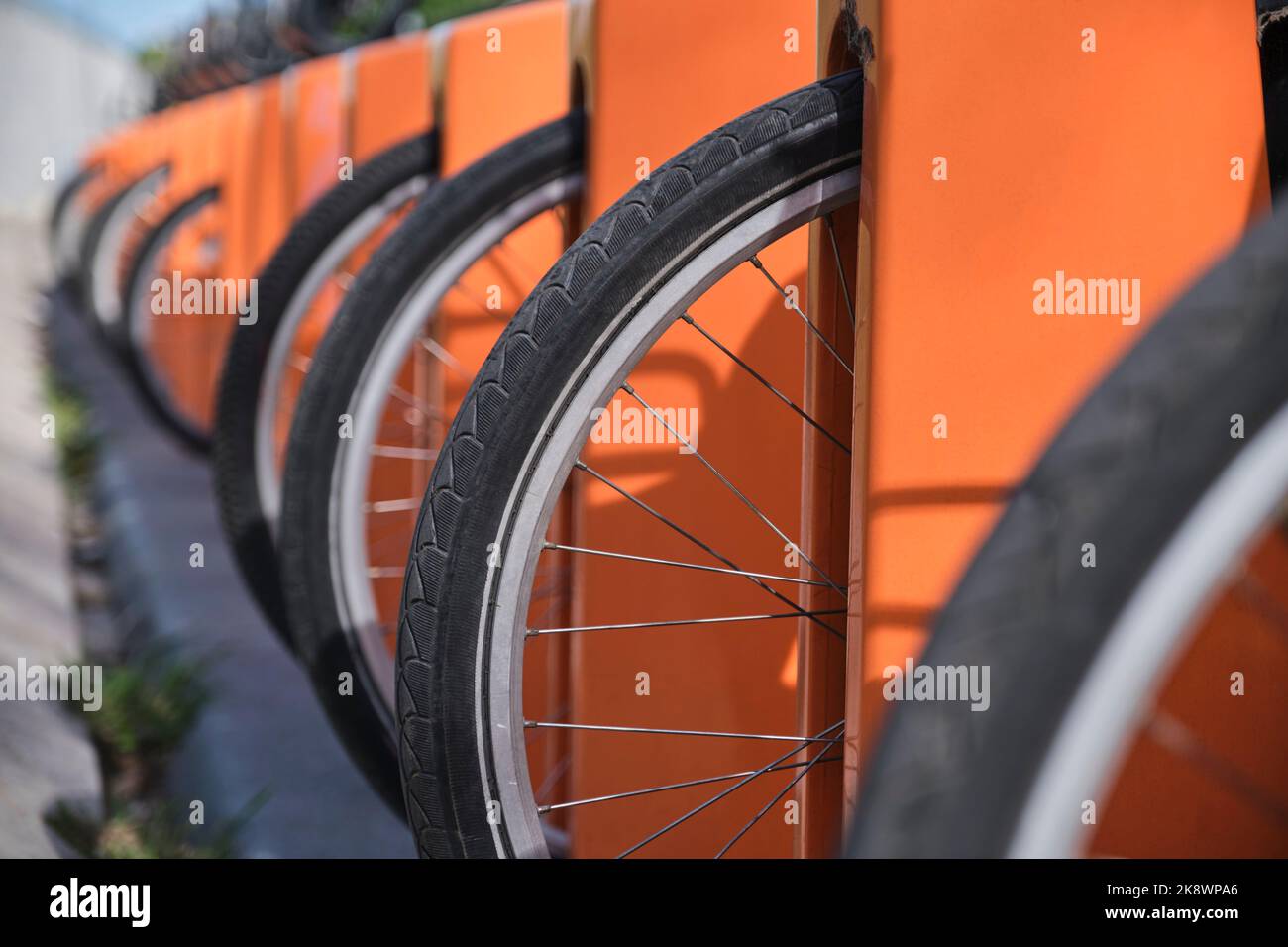 Row of bikes at a bicycle rental station. Ecological and sustainable