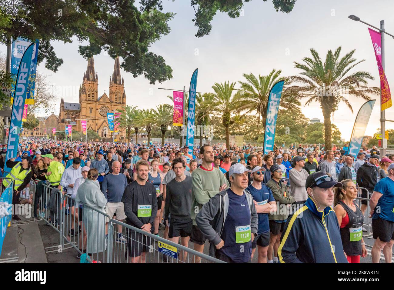 With St Mary's Cathedral in the