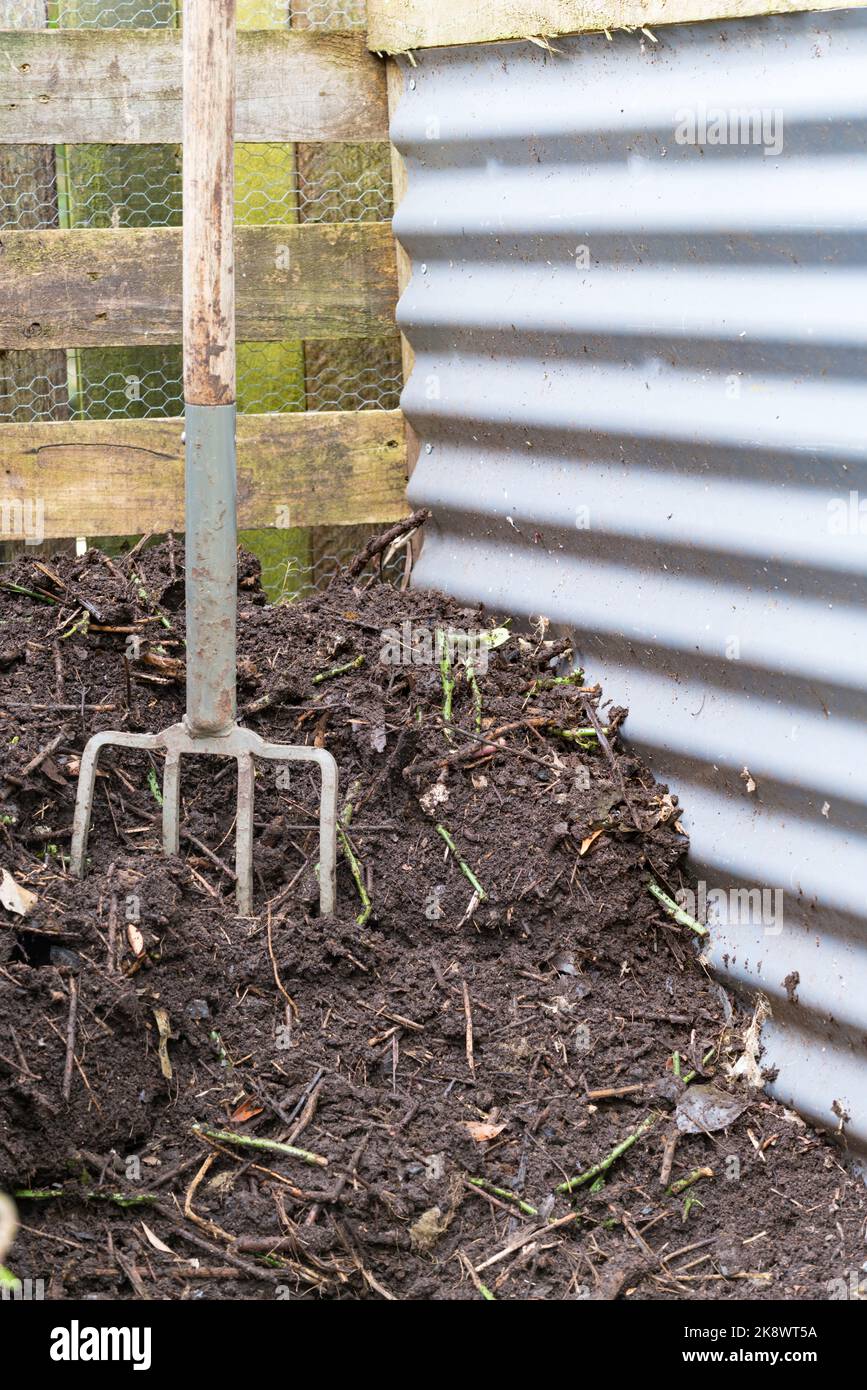 A garden fork standing in a home made compost heap with turned fresh compost humus nearly ready for use in Sydney Australia Stock Photo