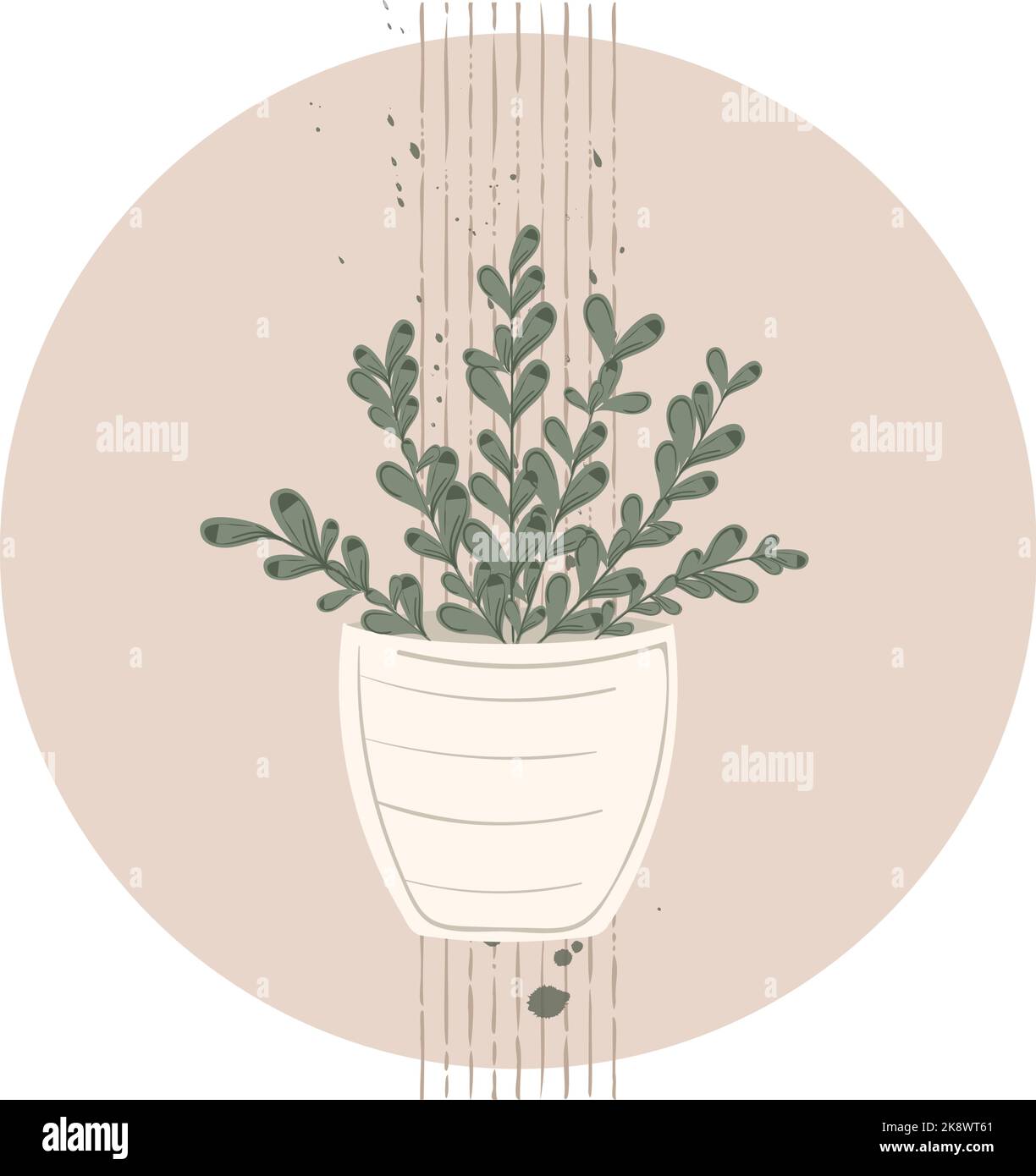 Isolated colored plant sketch icon Vector Stock Vector Image & Art - Alamy