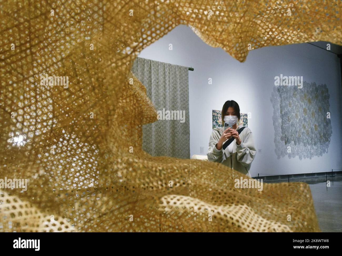 Recentl HANGZHOU, CHINA - OCTOBER 25, 2022 - Visitors view fiber art works at ...