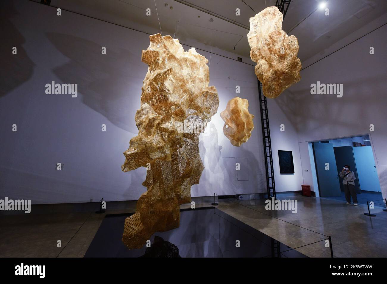 Recentl HANGZHOU, CHINA - OCTOBER 25, 2022 - Visitors view fiber art works at ...