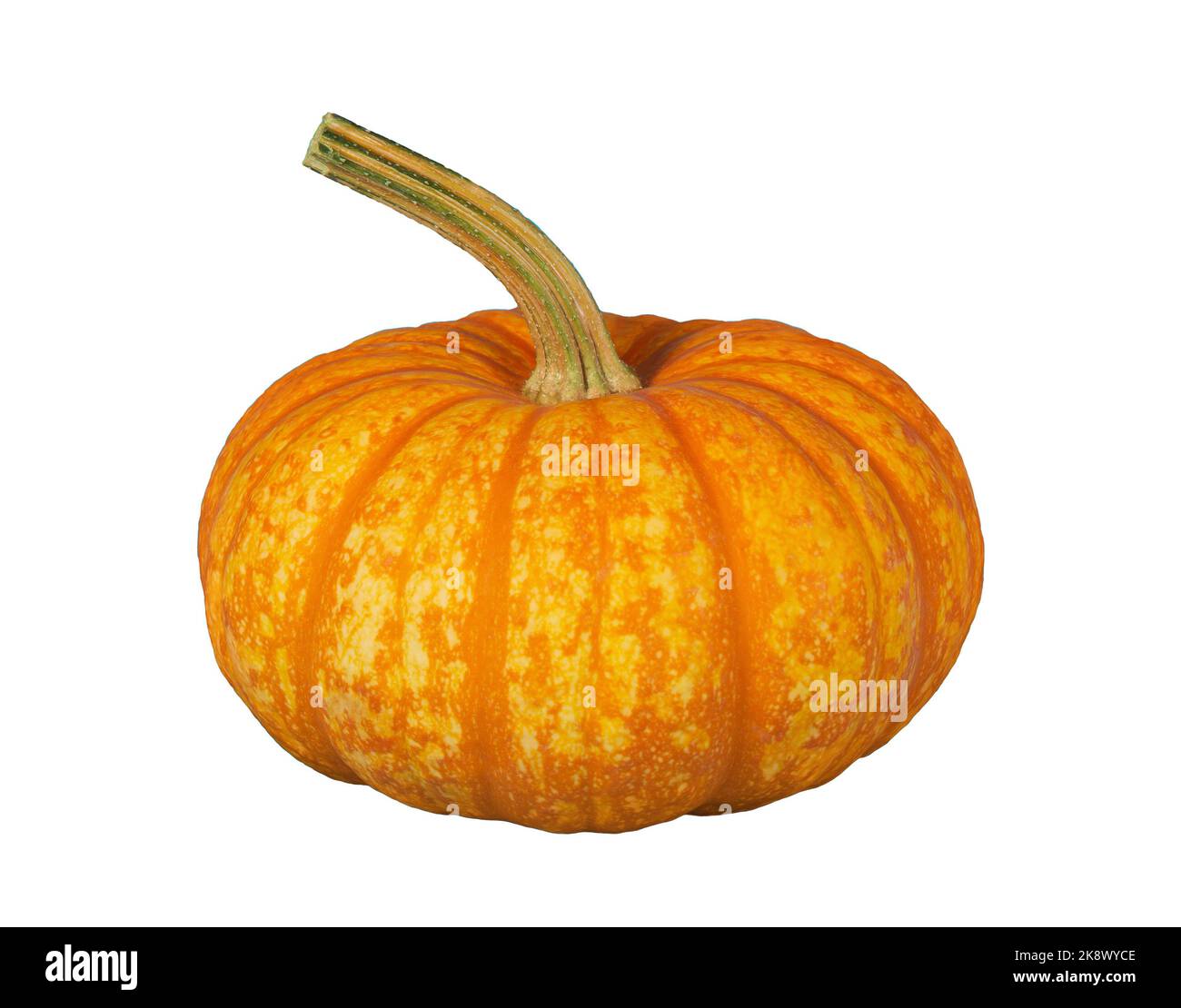 Sparkler pumpkin. Isolated on white background. Stock Photo
