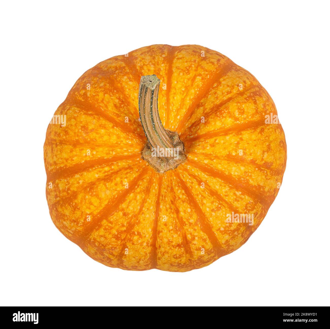 Top view of a Sparkler Pumpkin. Isolated on white background. Stock Photo