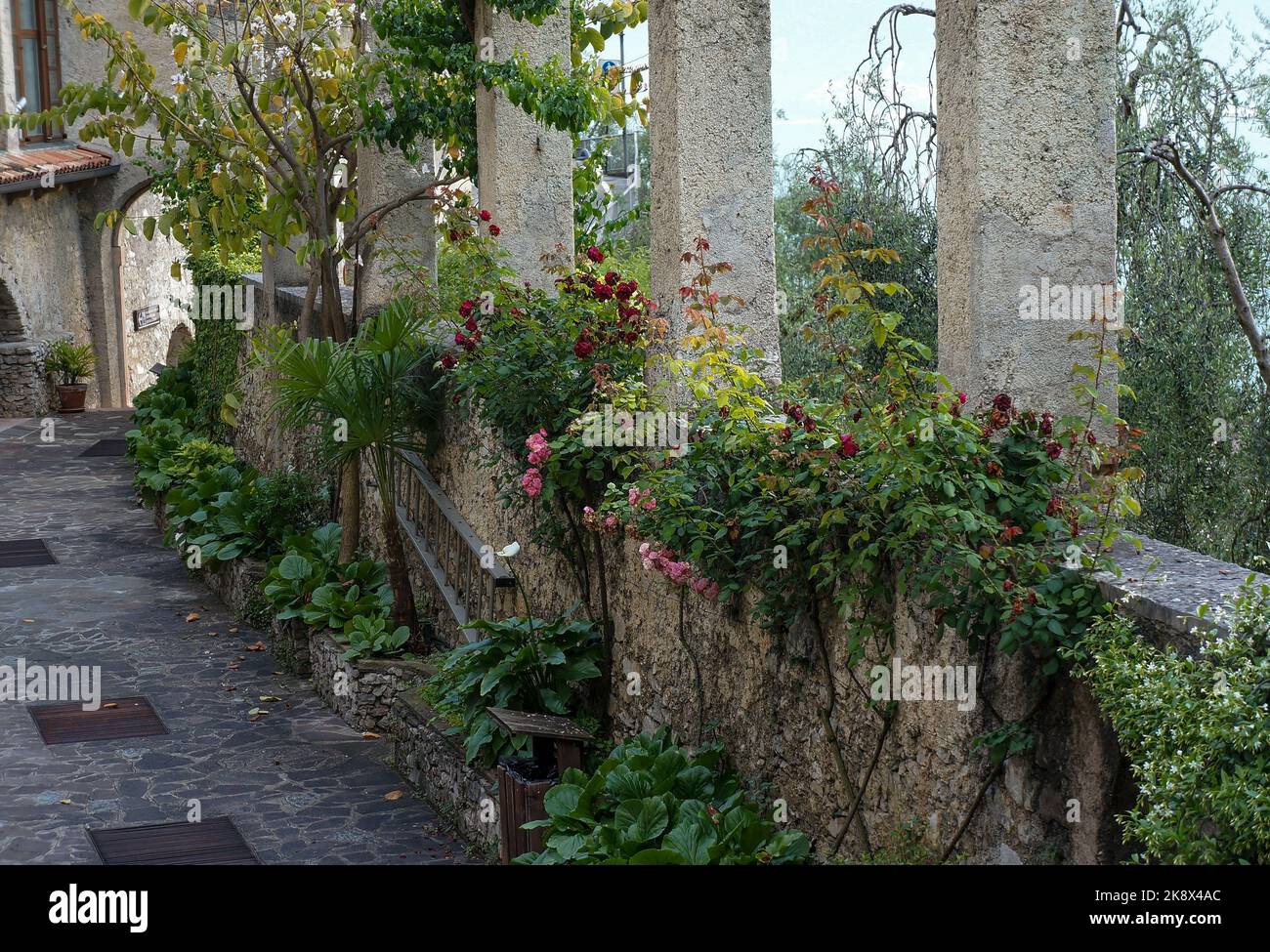 Garden of San Daniele Comboni Stock Photo