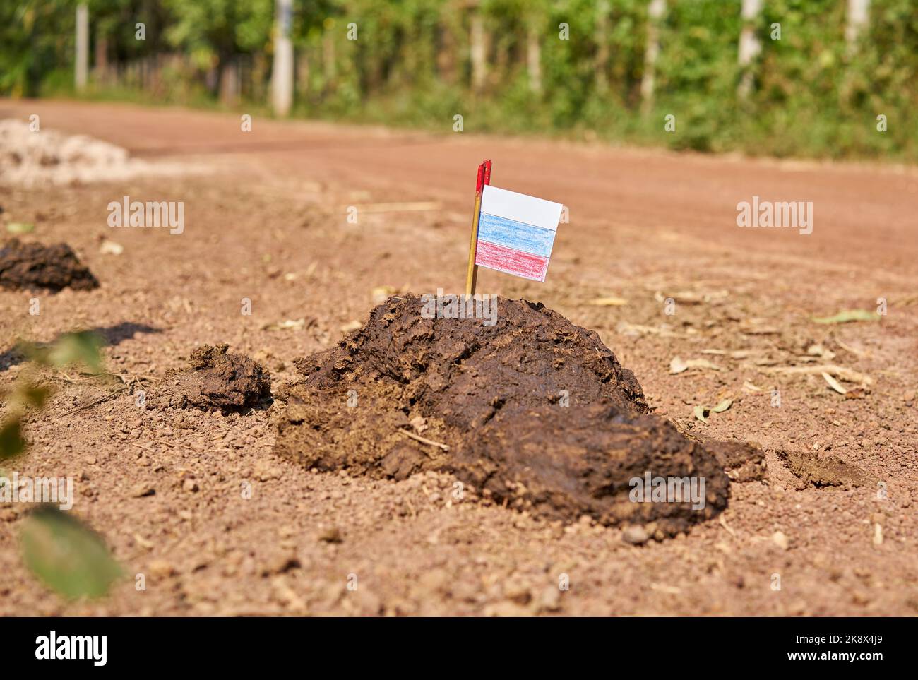 A Russian flag on a heap of dung on a country road. Stock Photo