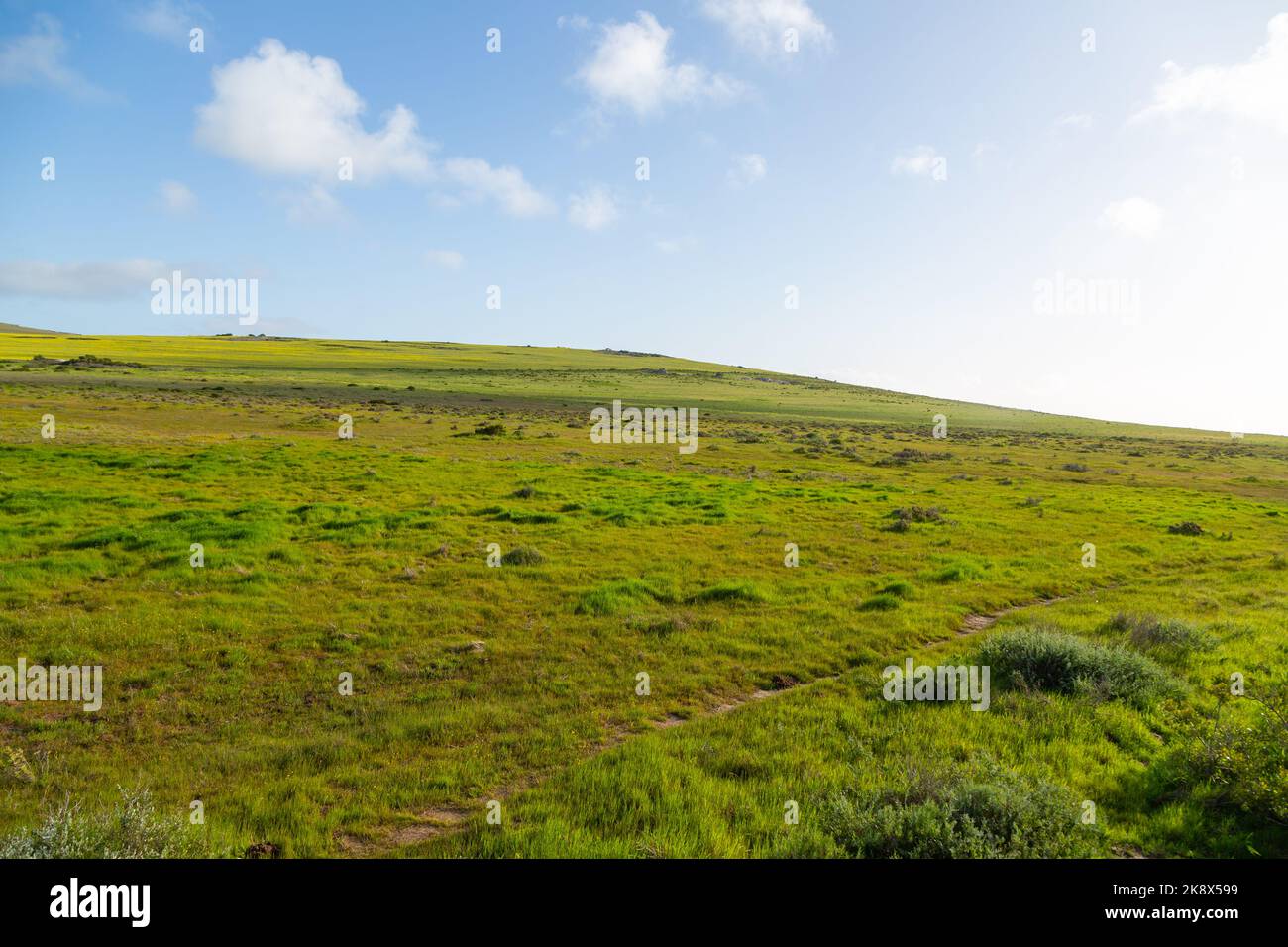 Landscape around the Town of Darling in the Western Cape of South Africa Stock Photo