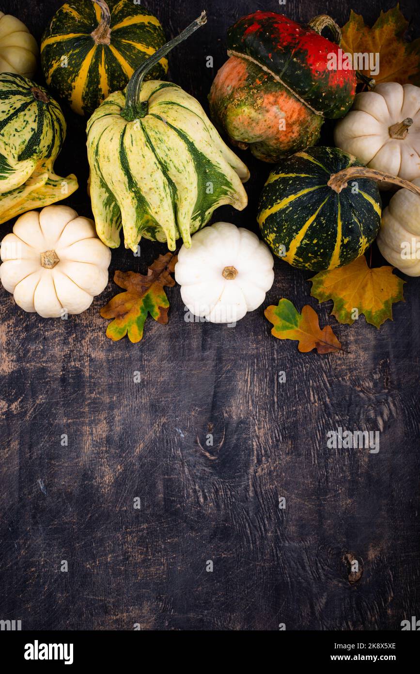 autumn-fall-background-with-pumpkins-stock-photo-alamy