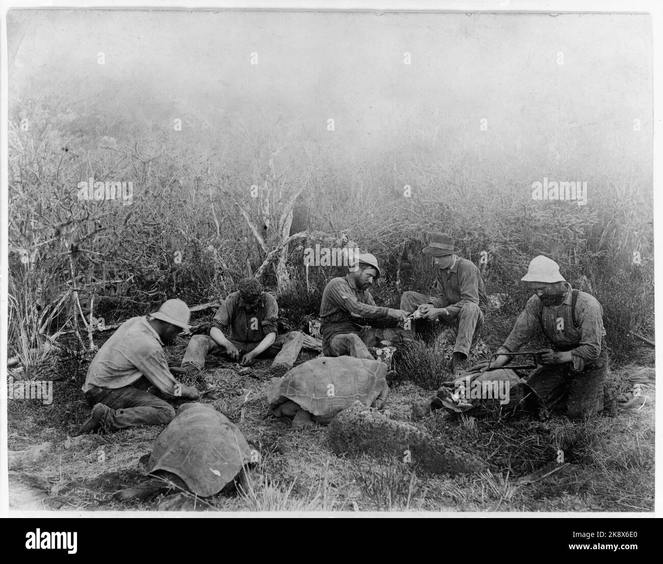 South america history historical archive Black and White Stock Photos