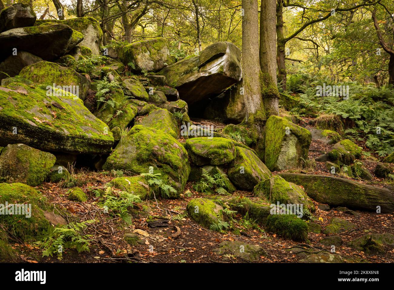 Moss covered rocks and a small cave in Padley Gorge in the Peak District of Derbyshire Stock Photo