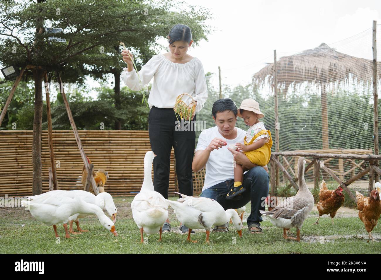 Happy family father, mother and son feed duck at farm. Stock Photo