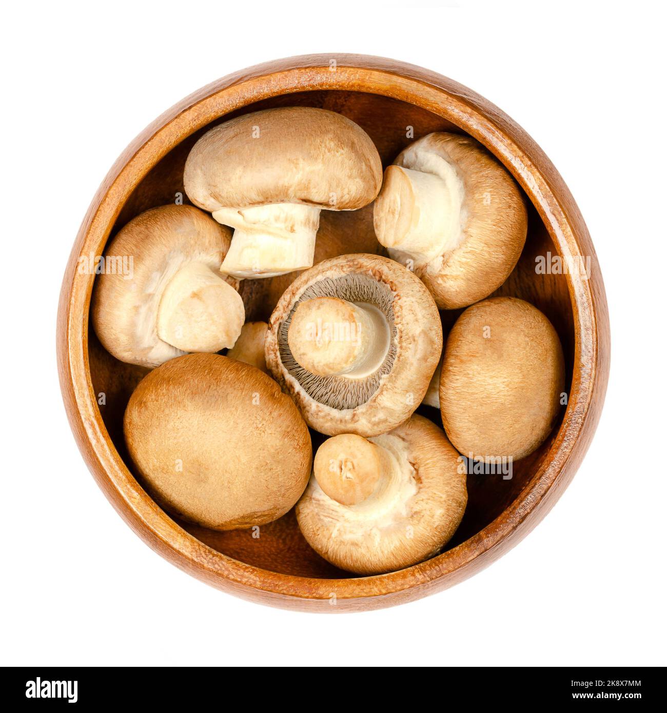 Brown champignons, in a wooden bowl, isolated, from above. Raw, young mushrooms, Agaricus bisporus, known as Swiss, Roman or Italian brown mushroom. Stock Photo