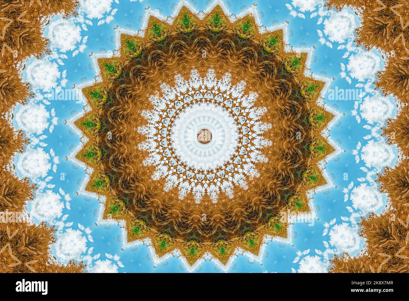 Organic kaleidoscopic shape as abstract background Stock Photo