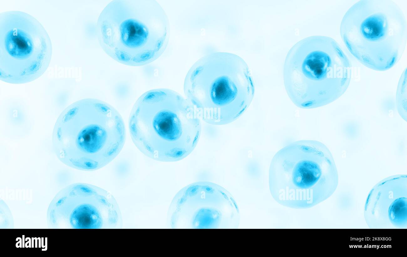 Embryonic stem cell. Human cell. 3d illustration Stock Photo - Alamy