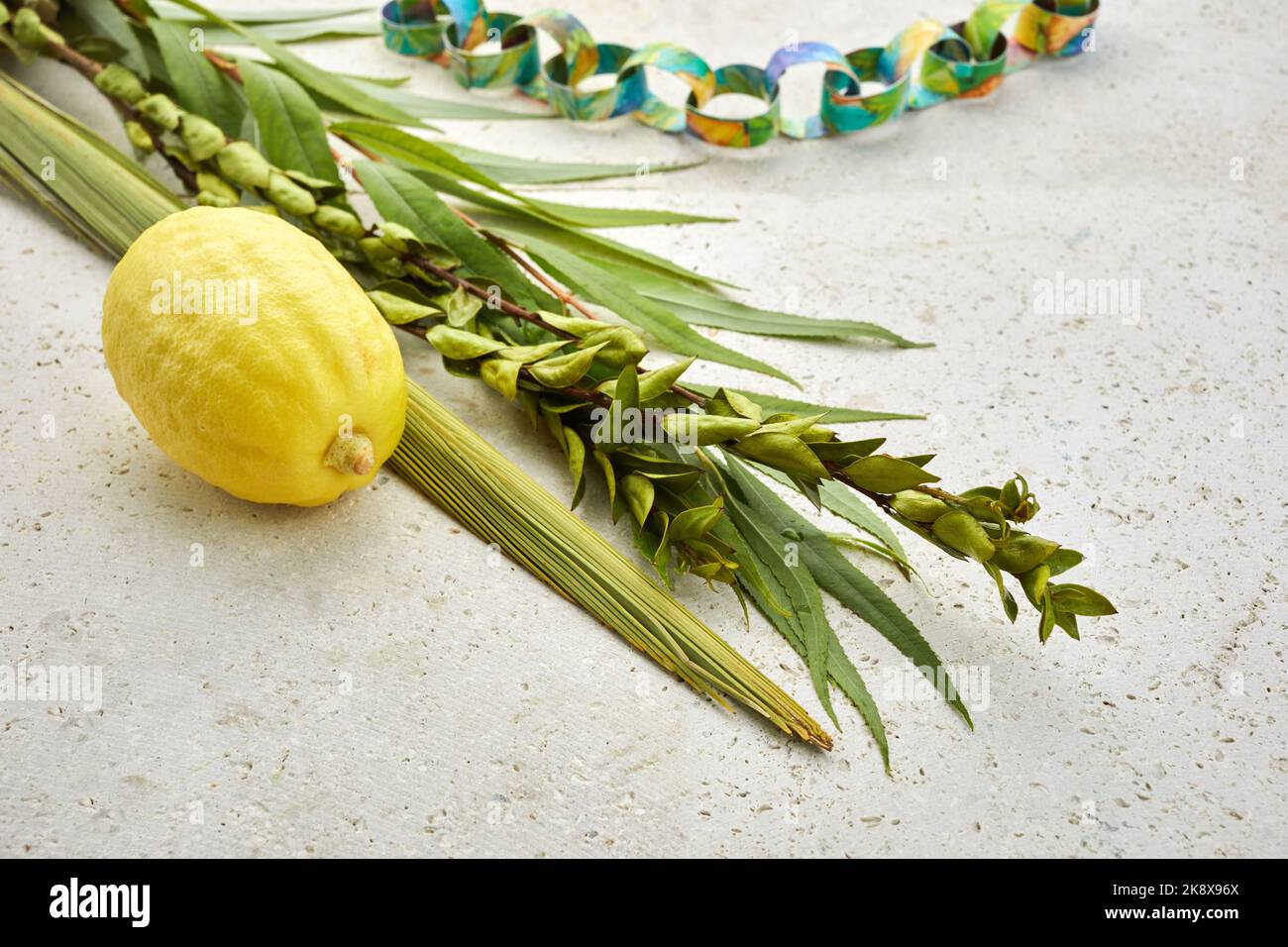 Jewish festival of Sukkot. Traditional symbols Etrog and lulav - citrus