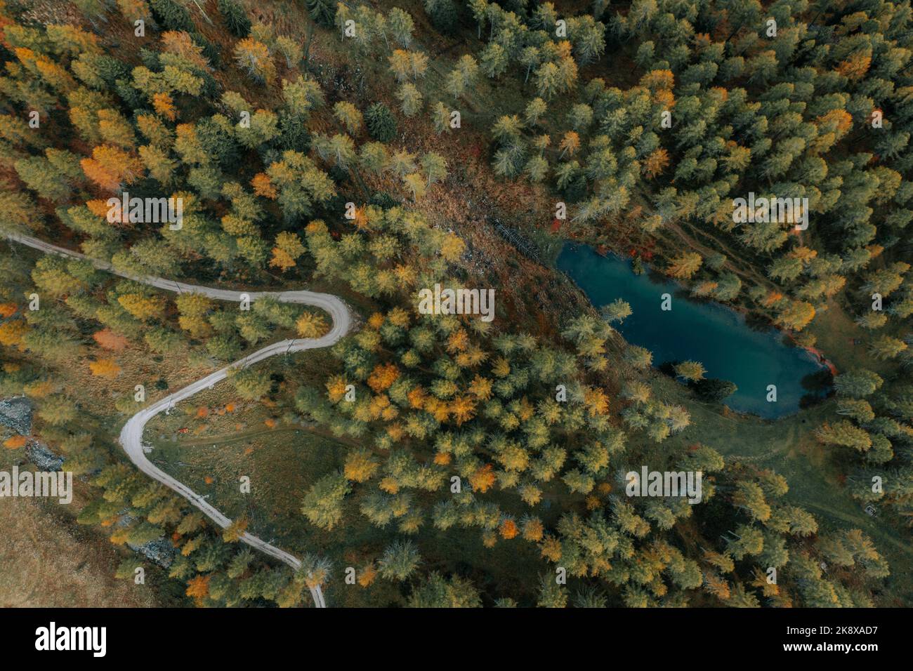 Eine Straße im Wald in der Herbstzeit. Kurvige Straße in einem bunten Wald und direkt neben einem See. Stock Photo
