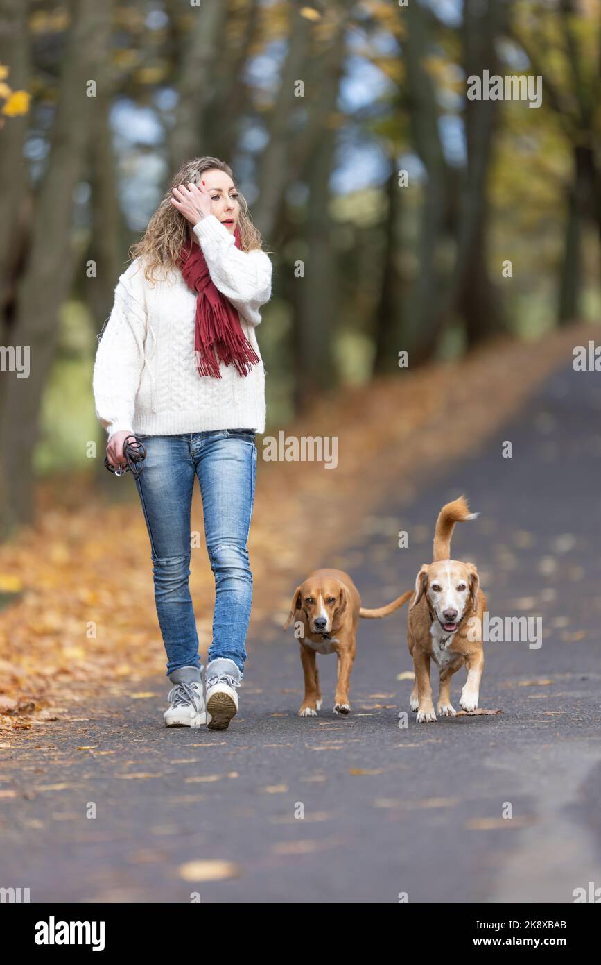 Young woman walking dogs in hi-res stock photography and images - Alamy