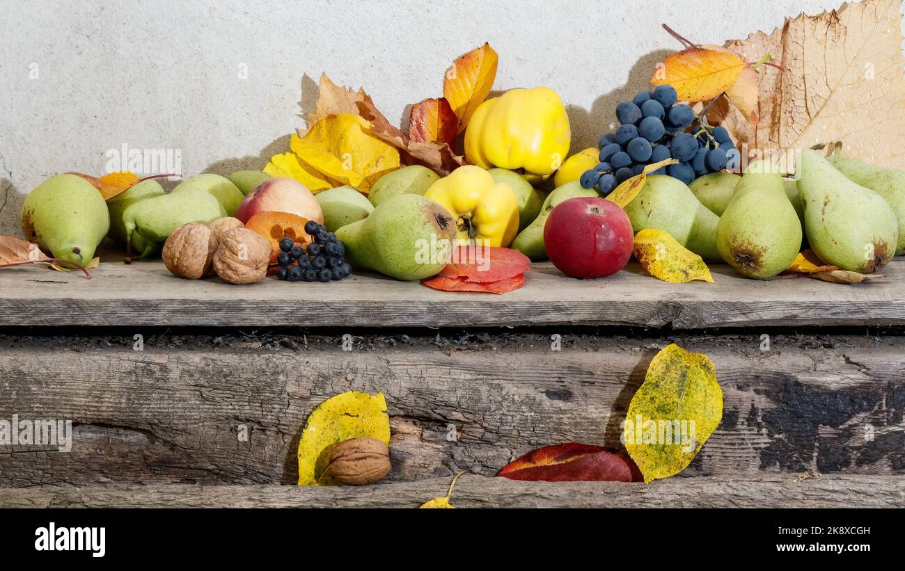 autumn harvest on the wooden board. bunch of ripe fruits. natural grown healthy food and sustainable living Stock Photo