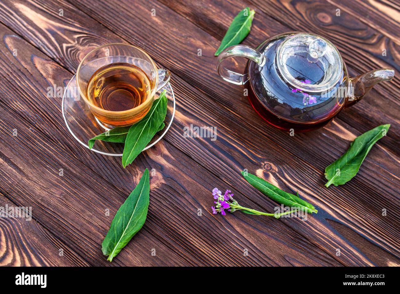 Kettle with herbal tea and fresh leaves Matthiola incana, Brompton stock, common stock, hoary stock, ten-week stock and gilly-flower tea with fresh Stock Photo