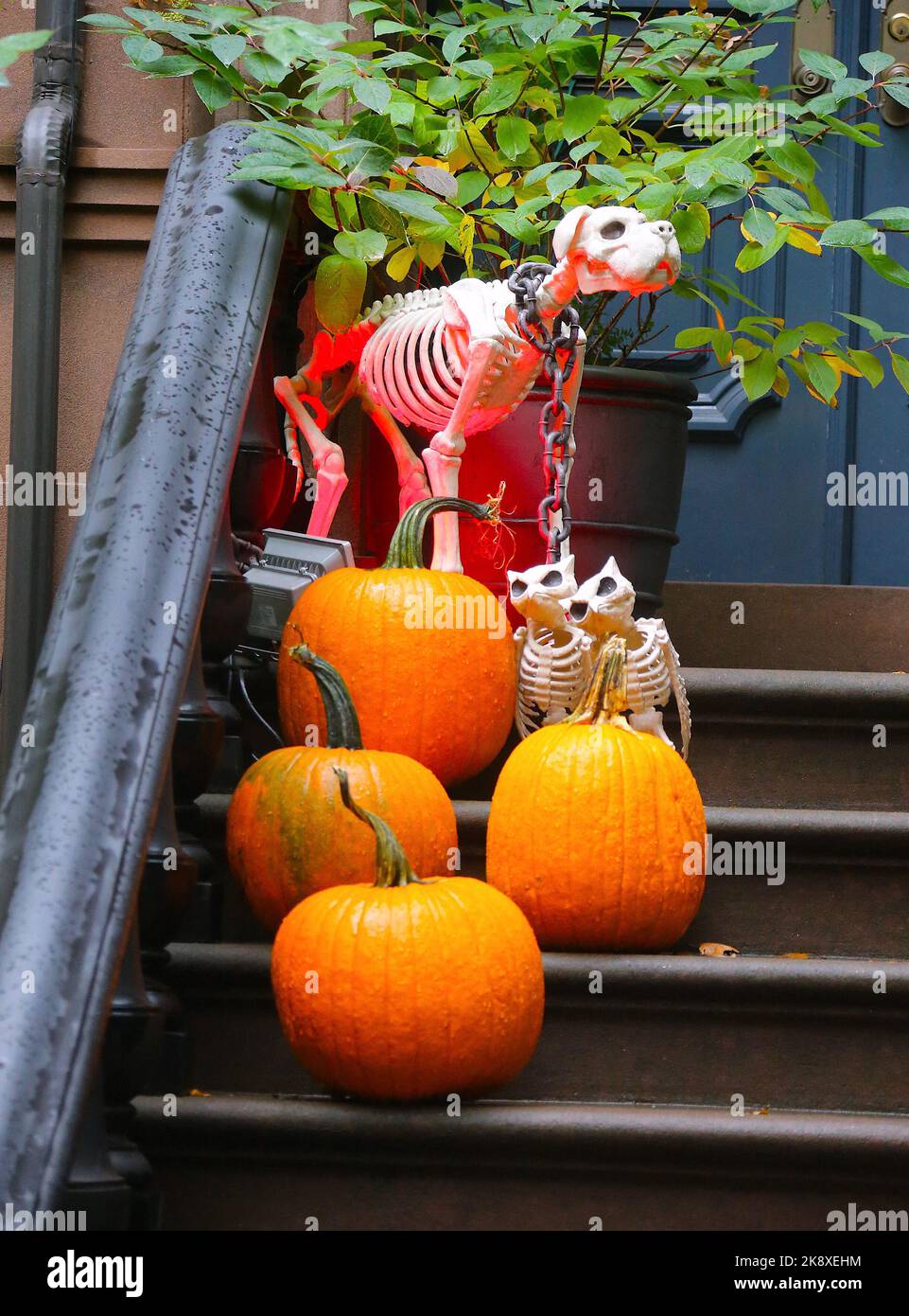 General view of different Halloween decorations in New York City.  -PICTURED: Atmosphere -LOCATION: New York USA -DATE: 24 Oct 2022 -CREDIT:  Charles Guerin/ABACA/INSTARimages.com Stock Photo - Alamy
