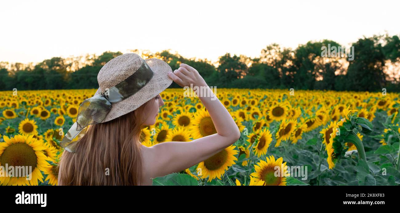 Sunflowers field on sunset. Woman with a long hair is dancing Stock ...