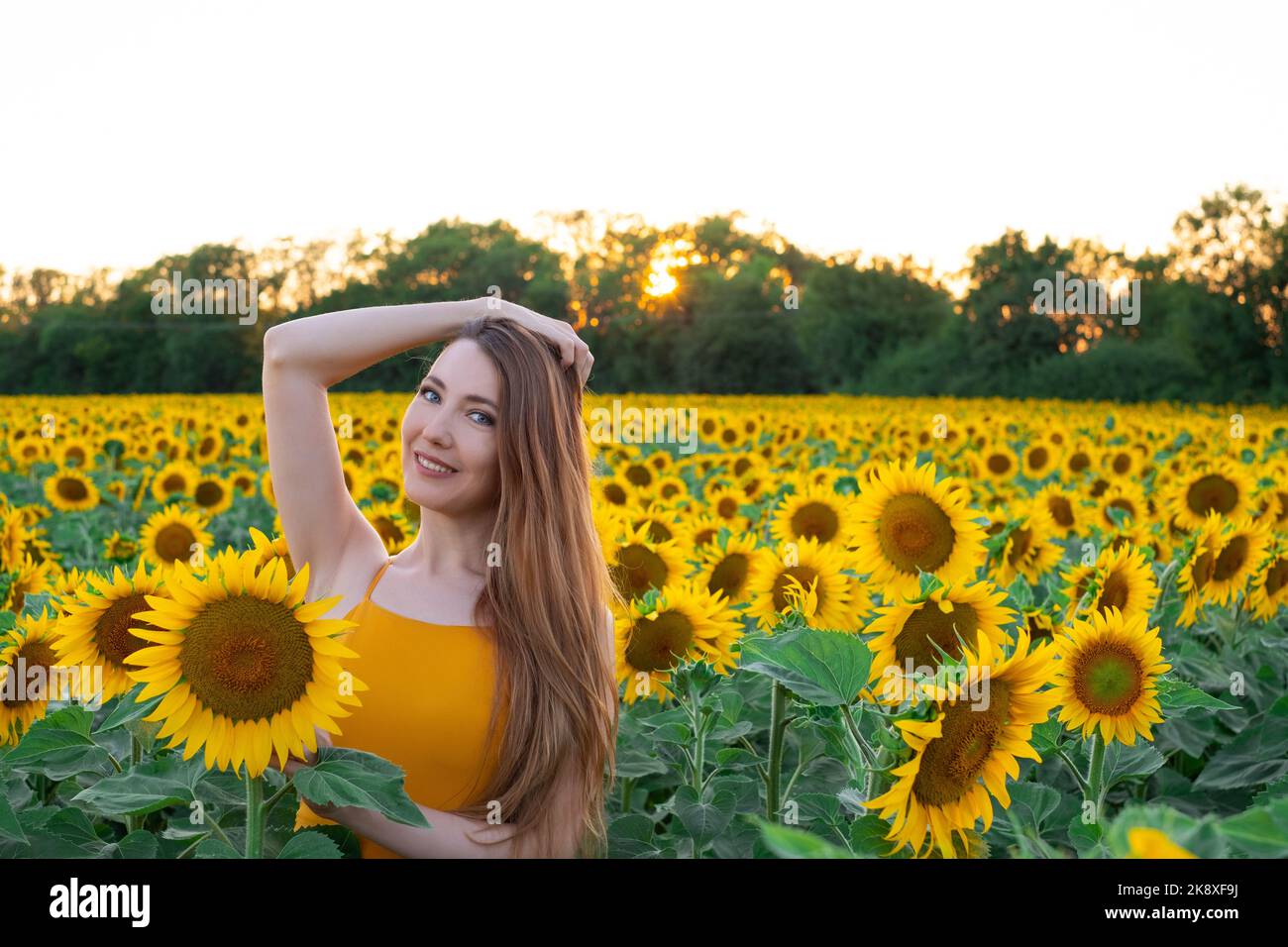 Sunflowers field on sunset. Woman with a long hair is dancing Stock ...