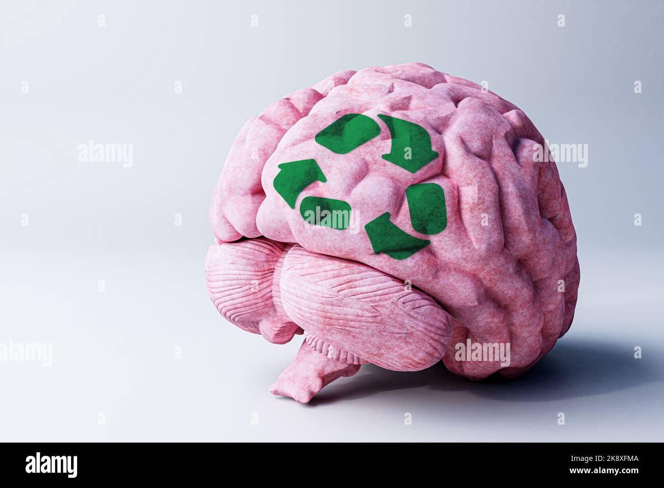 human brain isolated on white background 3d illustration Stock Photo ...