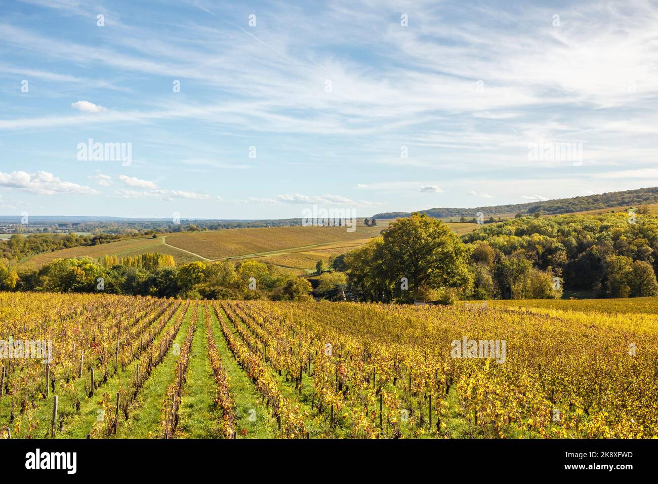 France, Cher, Sancerre, village labelled Les Plus Beaux Villages de France, The Most Beautiful Villages of France, Sancerre vineyards in autumn Stock Photo