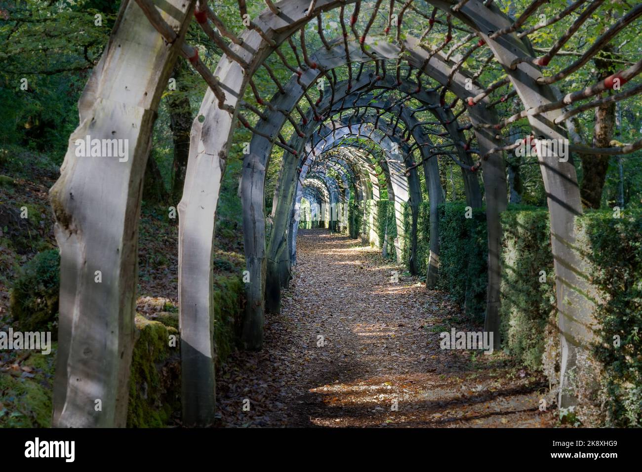 pathway leading through a covered wooden arch tunnel and foliage Stock