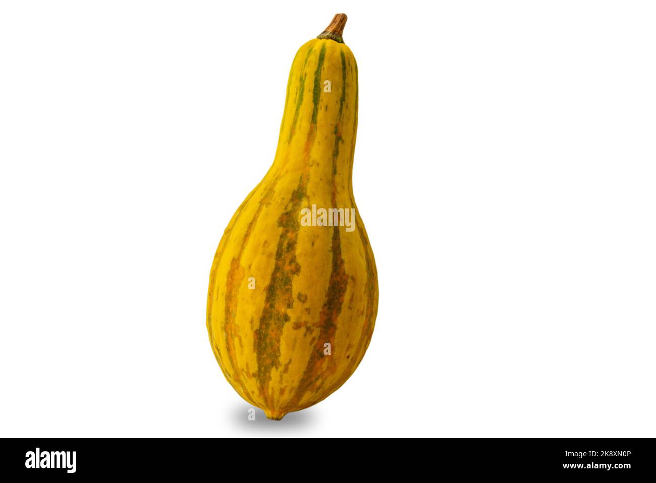 Yellow pumpkin in the shape of a skittle isolated on white, clipping path Stock Photo