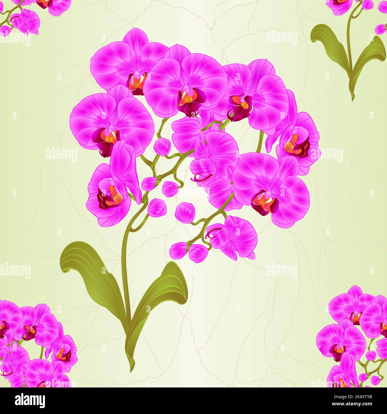 Seamless Texture Branches Orchid Phalaenopsis Purple Flowers Tropical