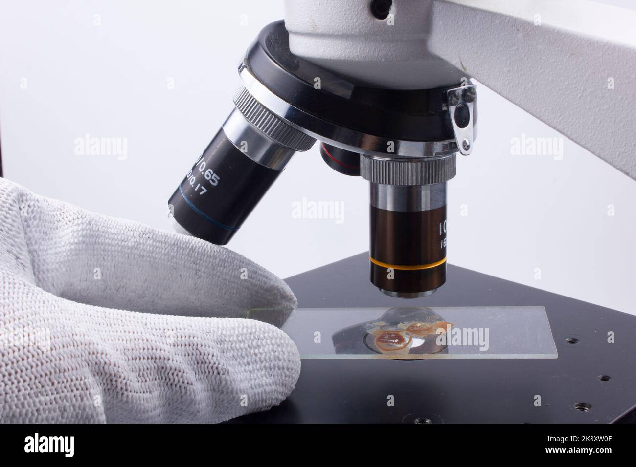 sample on laboratory glass and optical microscope Stock Photo Alamy