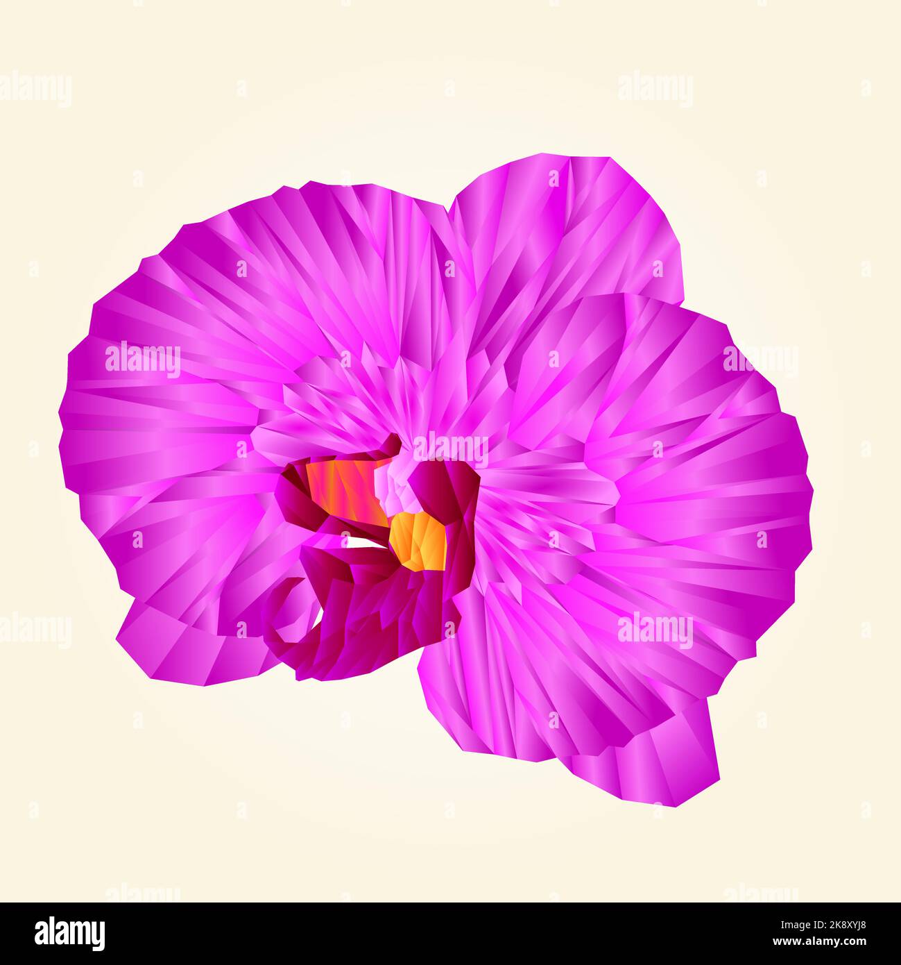 Purple Orchid beautiful flower polygons isolated vector abstract