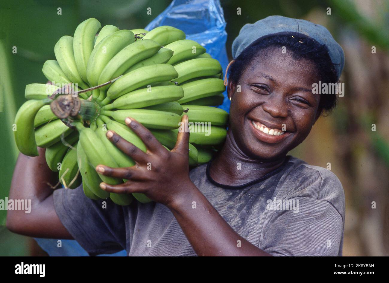 Ghana, Volta-region - Woman has just harvested a bunch of bananas on the Fair Trade plantation of OKE -bananas. - These bananas will be exported to Eu Stock Photo