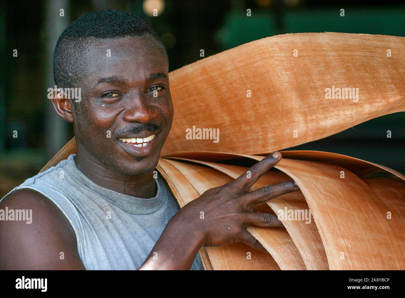 Ghana, Takoradi. Portrait worker of Dupaul Lumber Export carries veneer