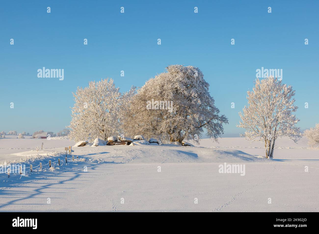 Winter landscape with snow and frost by an old stone age grave Stock Photo